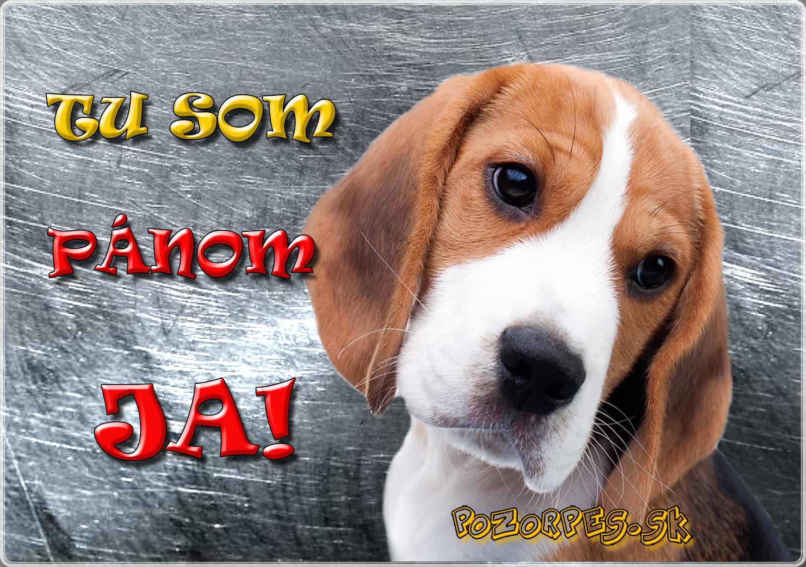 Bígl