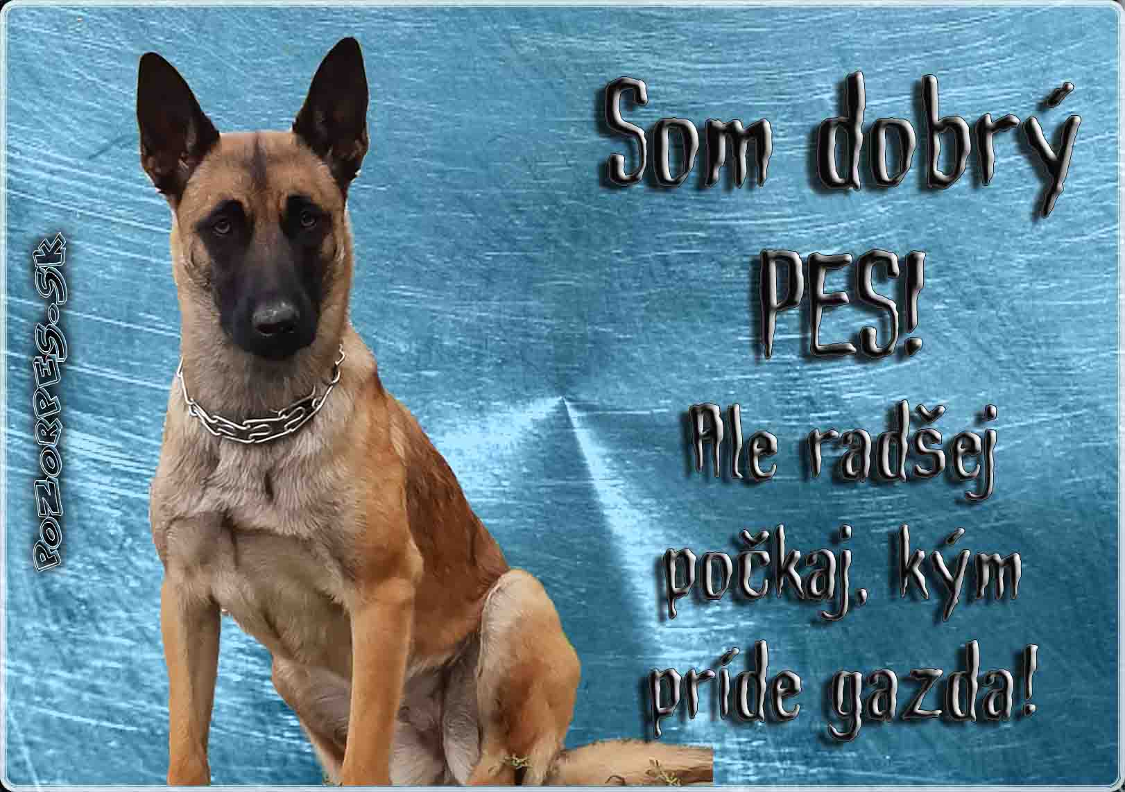 Belgický ovčiak