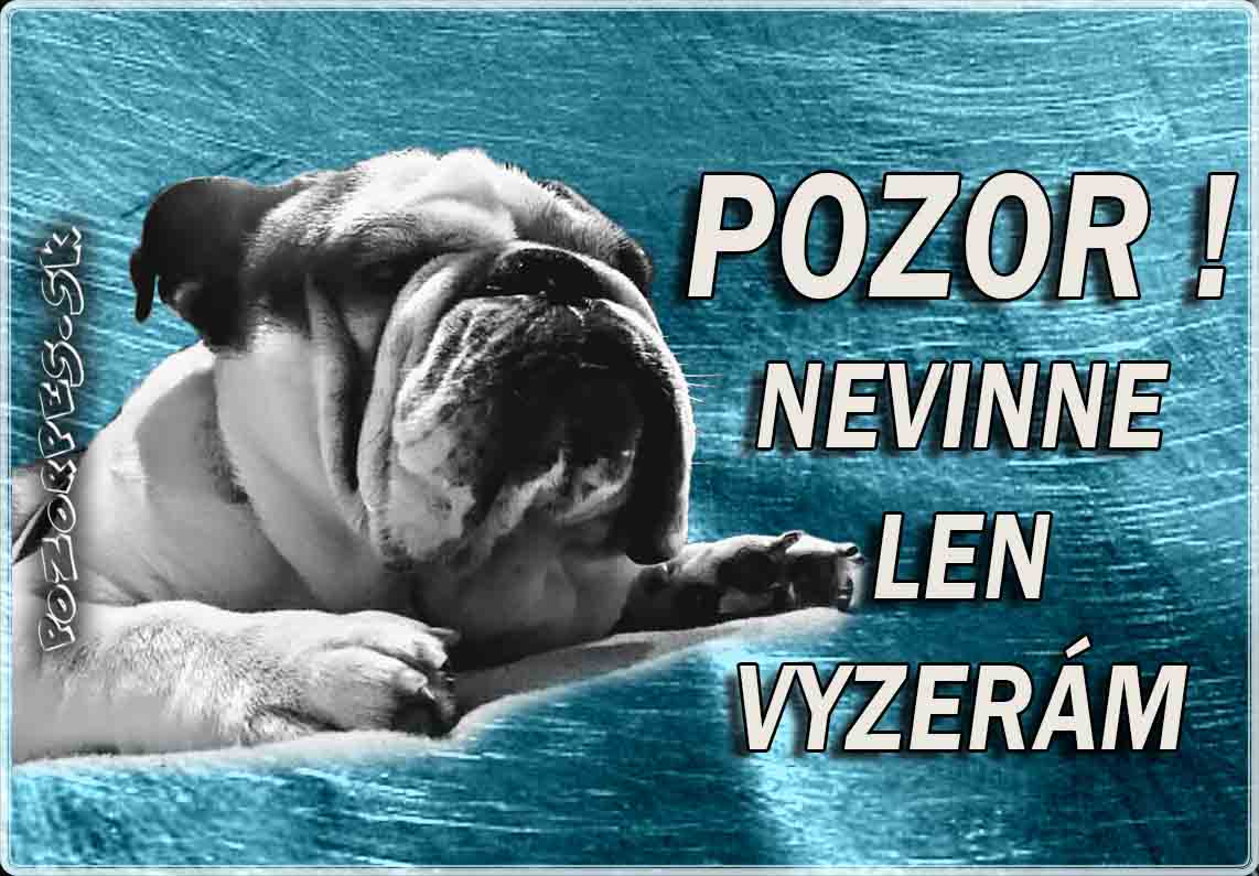 Anglický buldog