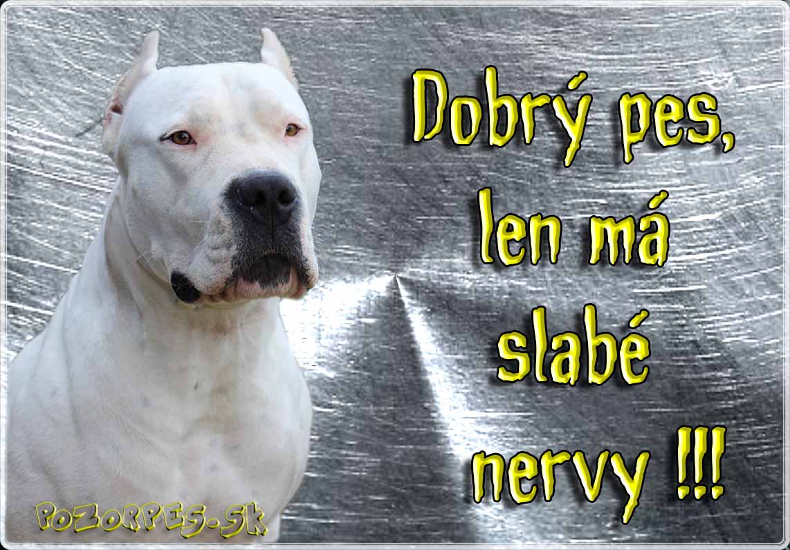 Argentínska doga