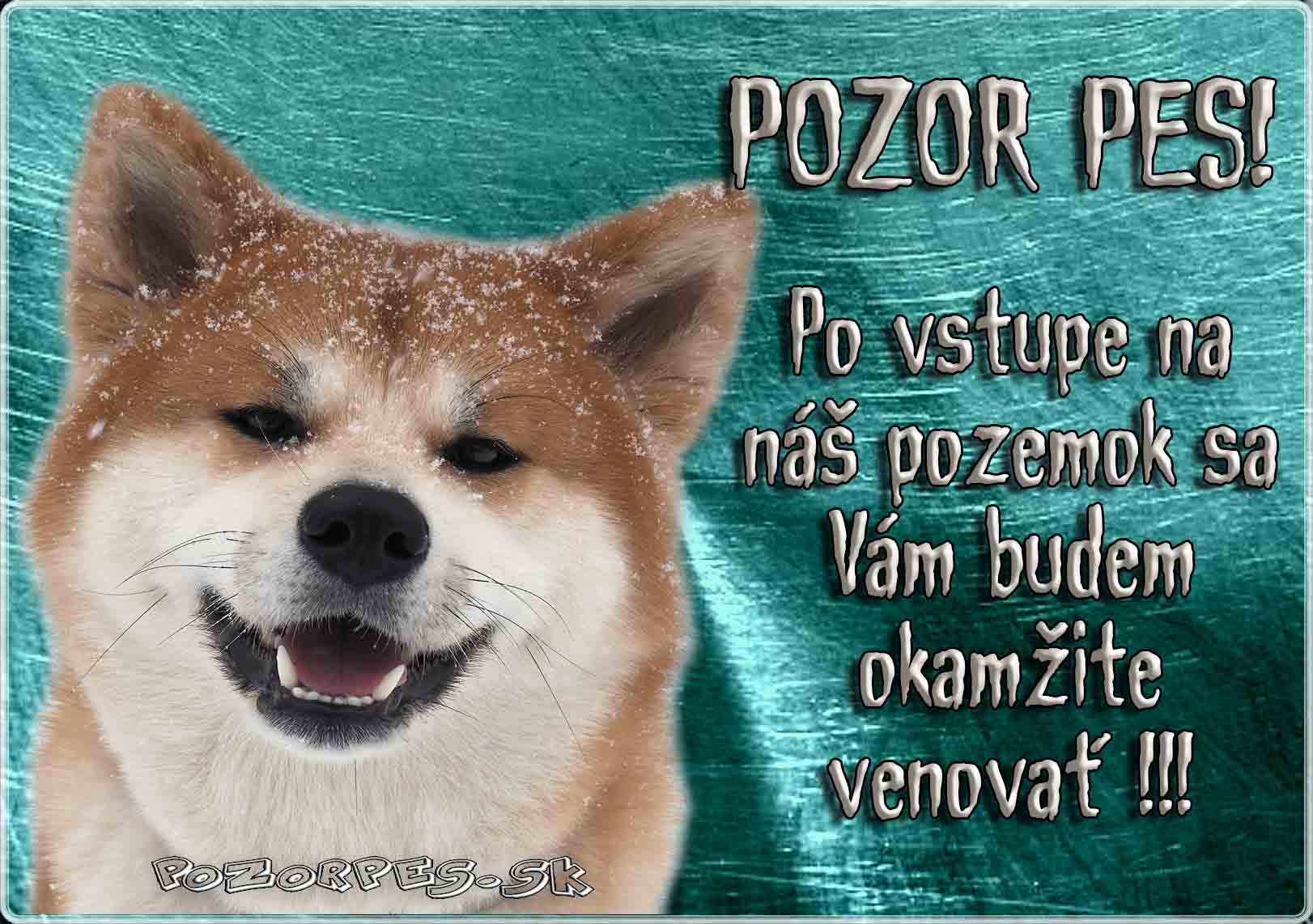 Akita Inu