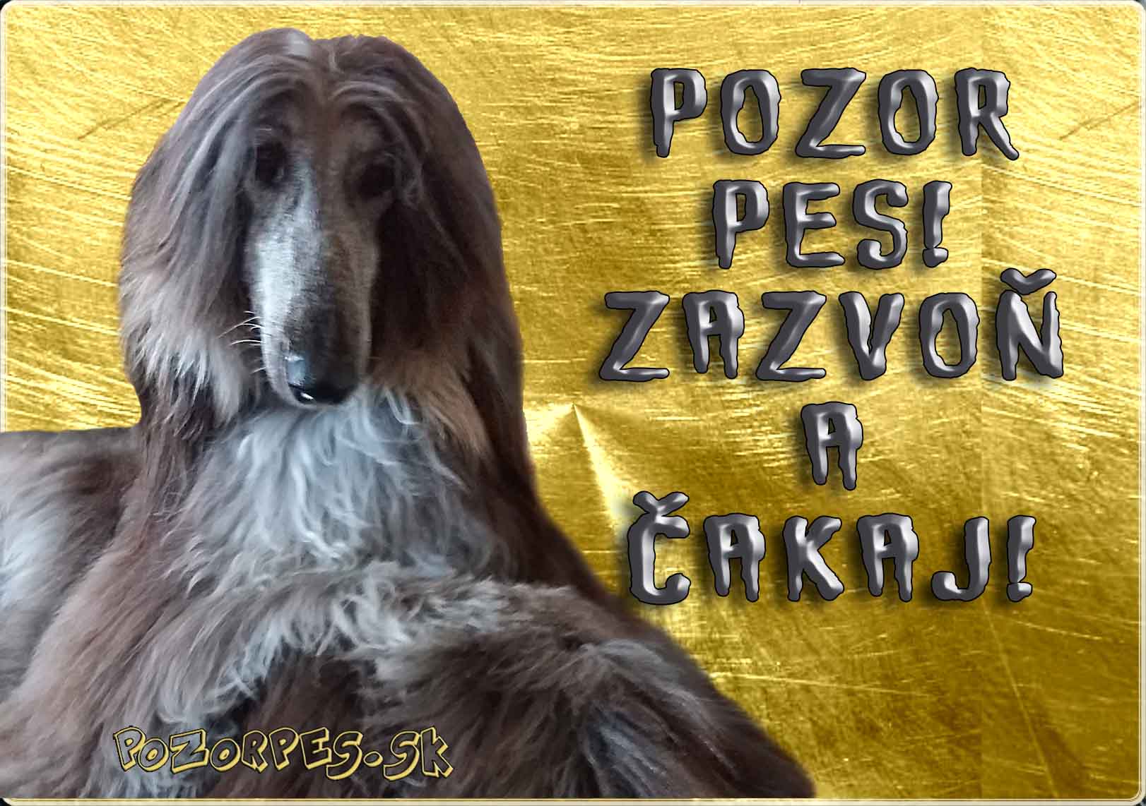 Afganský chrt