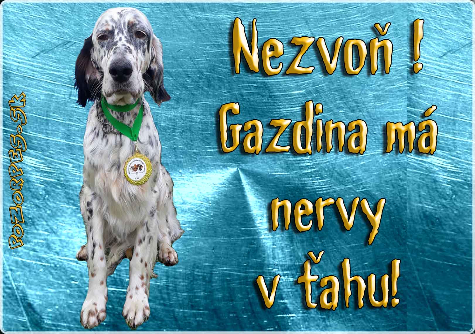 Anglický seter
