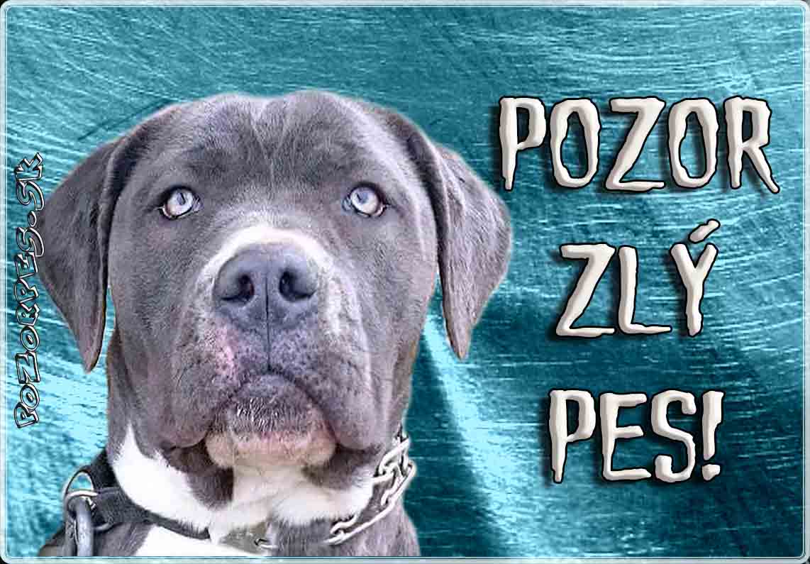 Bandog