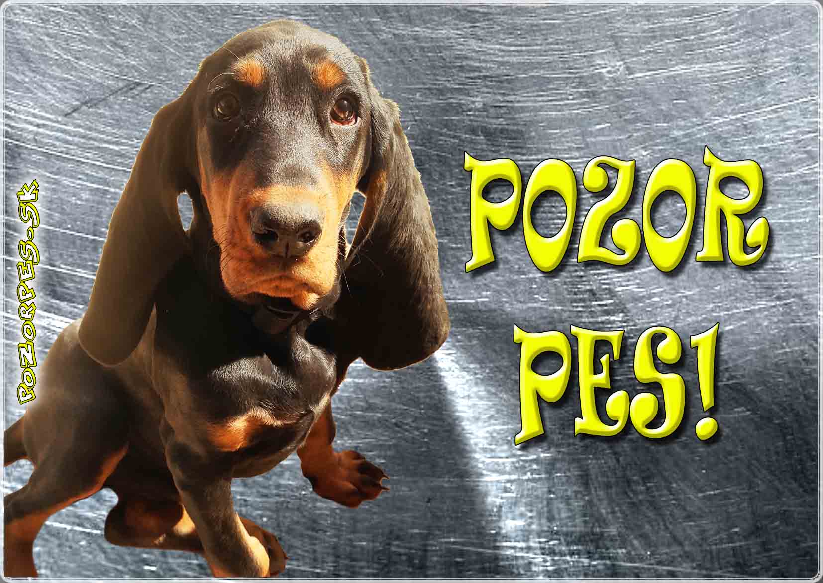 Baset,  black and tan coonhound