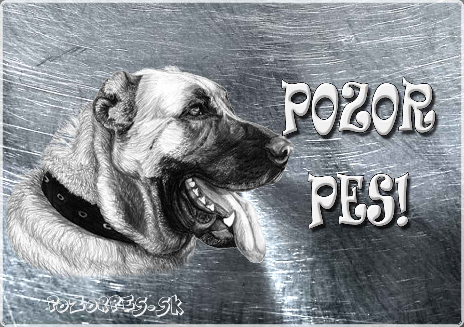 Anatolsky pestierský pes