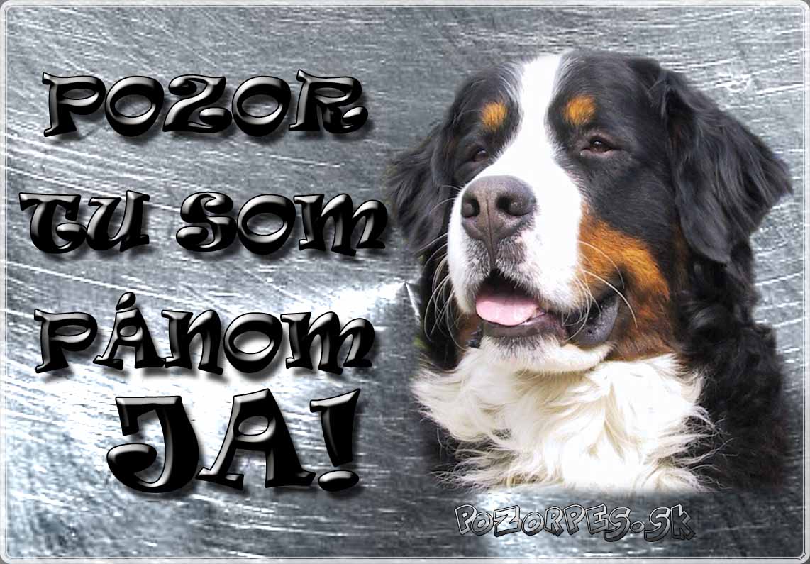 Bernský salašnícky pes