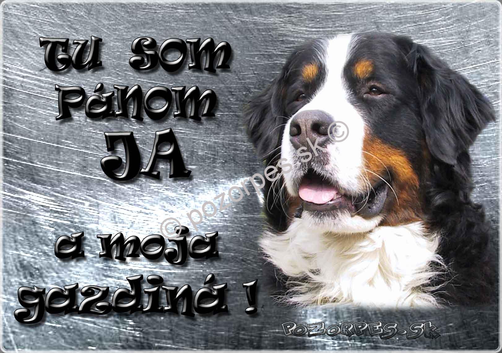 Pozorpes.sk,  výstražná tabuľka nerez 210x149xmm