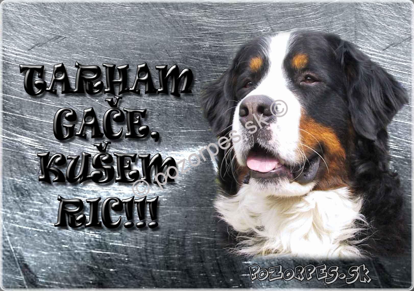 Pozorpes.sk,  výstražná tabuľka nerez 210x149xmm