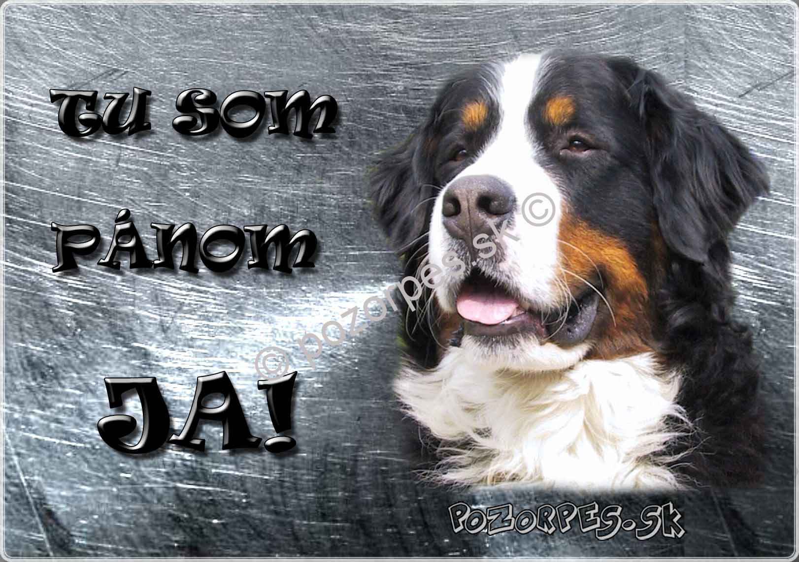 Pozorpes.sk,  výstražná tabuľka nerez 210x149xmm