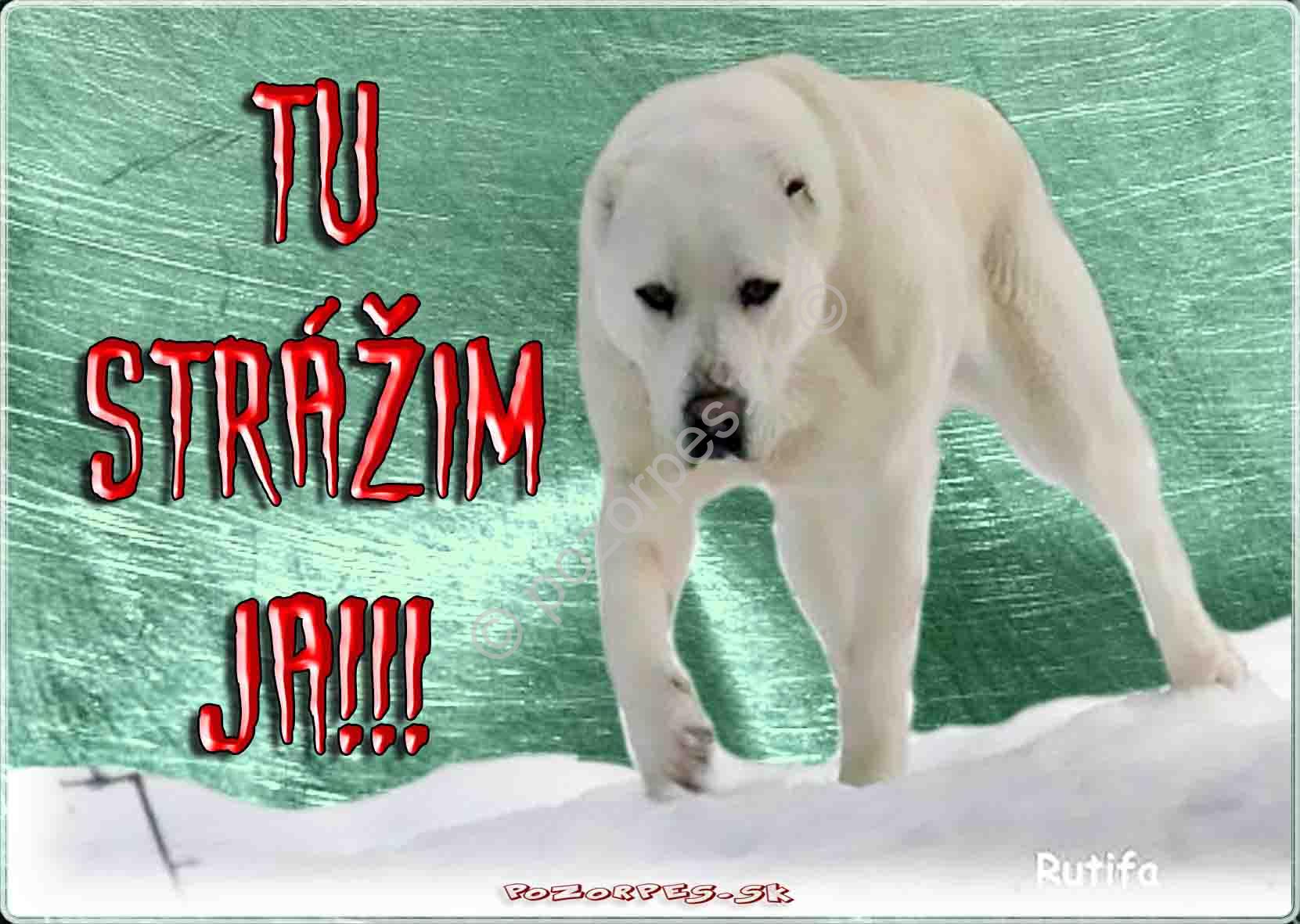 Pozorpes.sk,  výstražná tabuľka hliníková