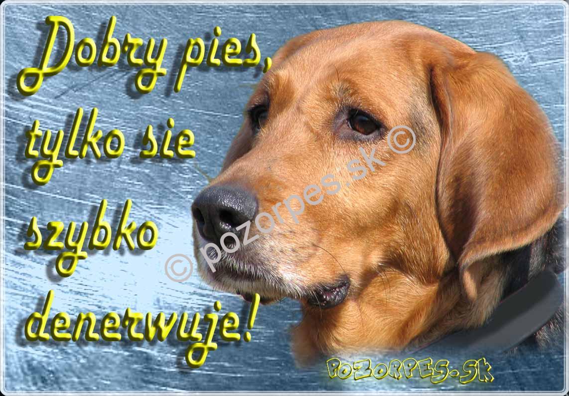 Pozorpes.sk, výstražná tabuľka