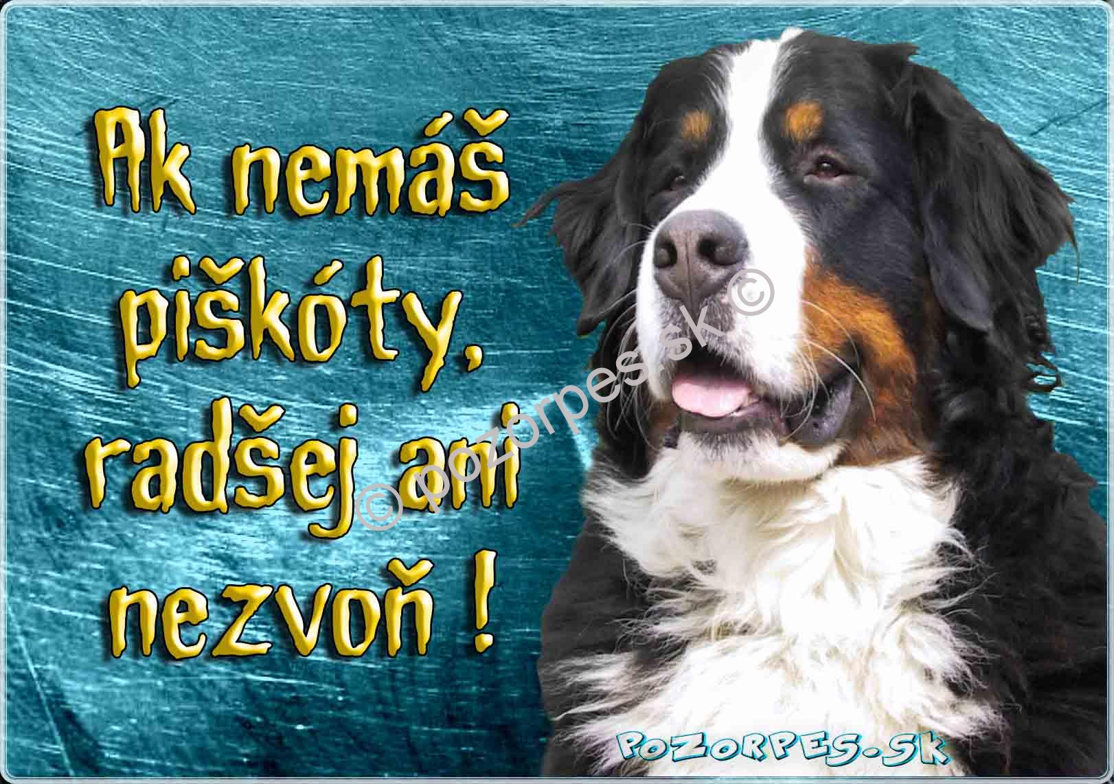 Pozorpes.sk, Bernský salašnícky pes