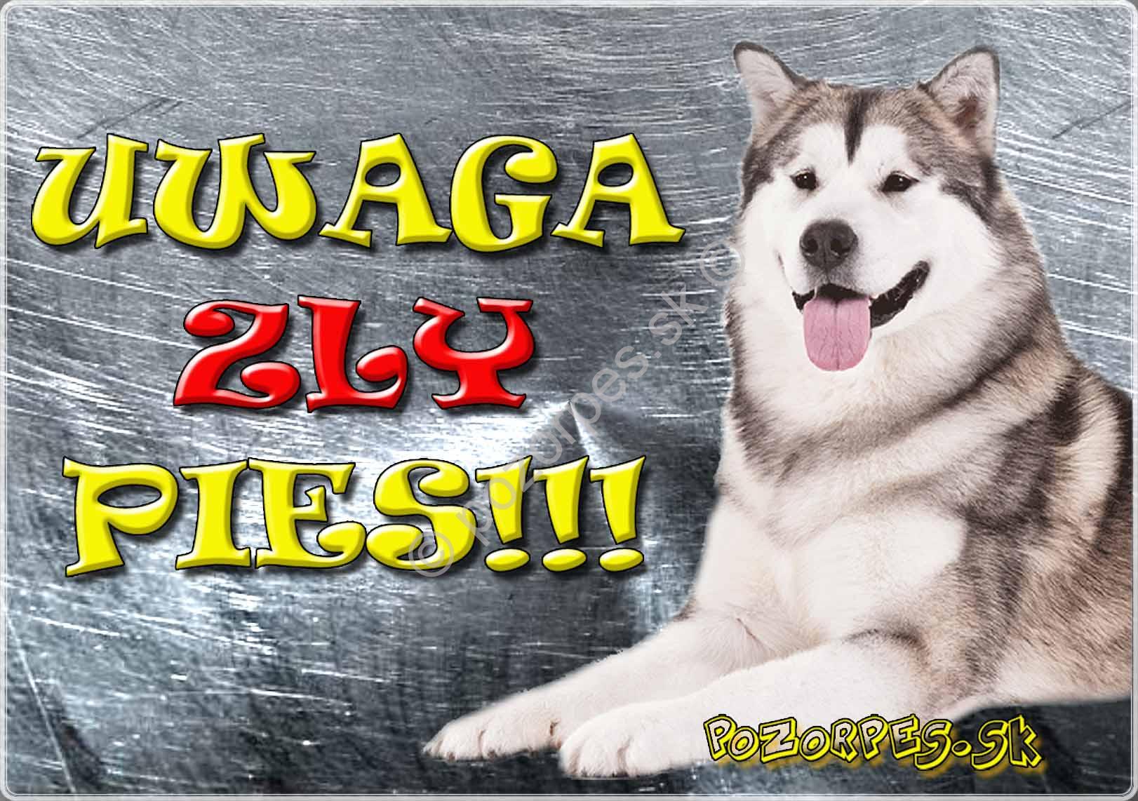 Alaskan Malamute