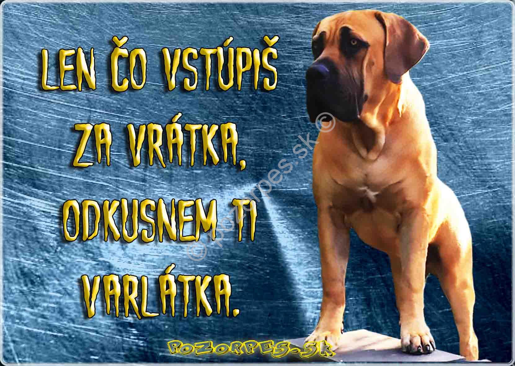 Tabuľka pozor pes