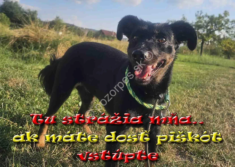 Hliníková tabuľka pozorpes.sk