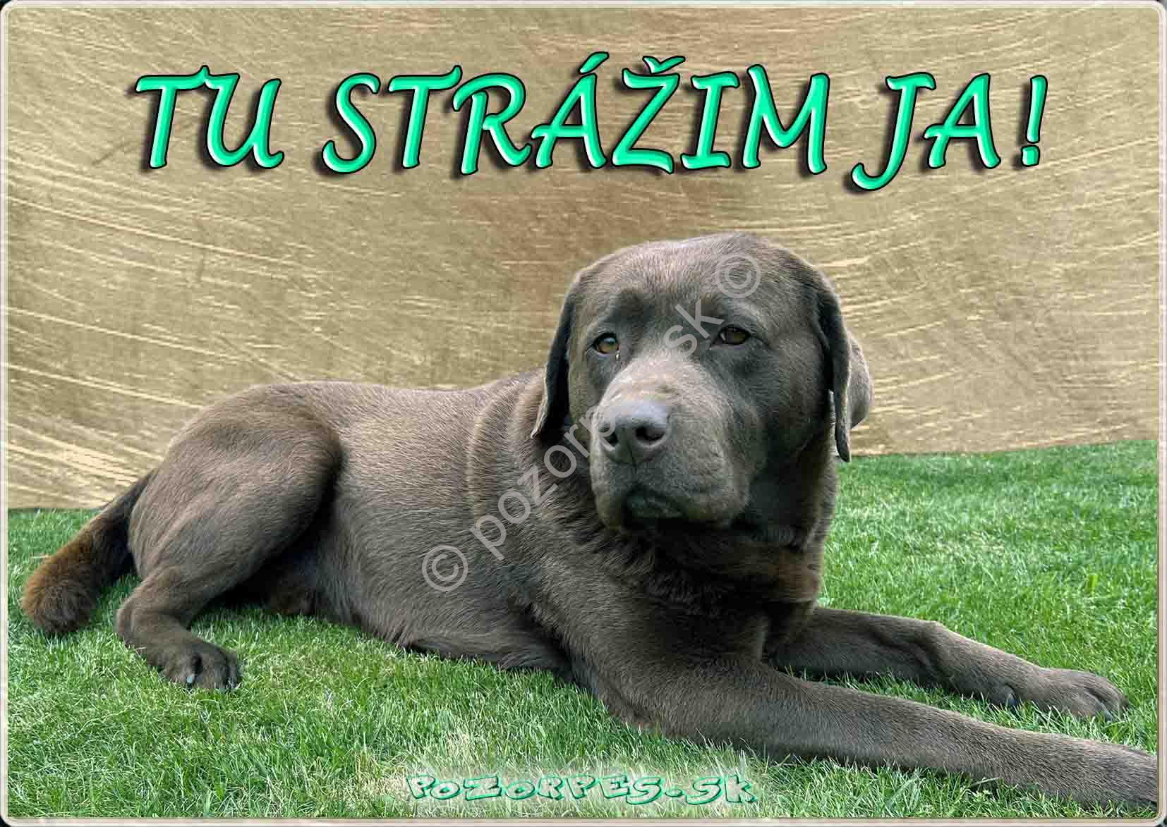 Pozorpes.sk, výstražná tabuľka