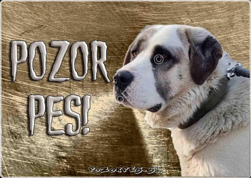 Hliníková tabuľka pozorpes.sk