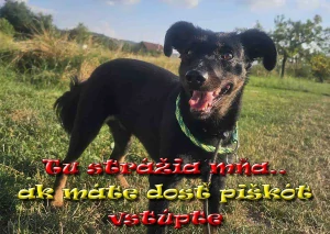 Hliníková tabuľka  pozorpes.sk