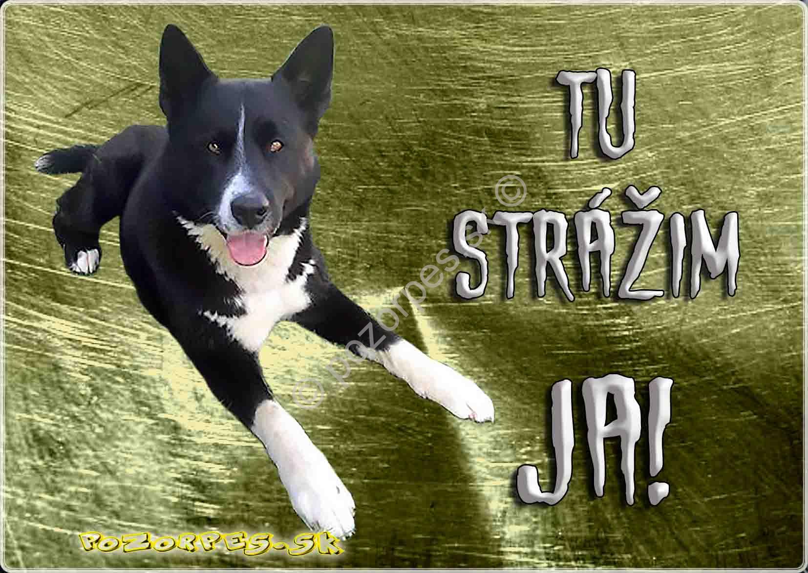 Pozorpes.sk,  výstražná tabuľka nerezová
