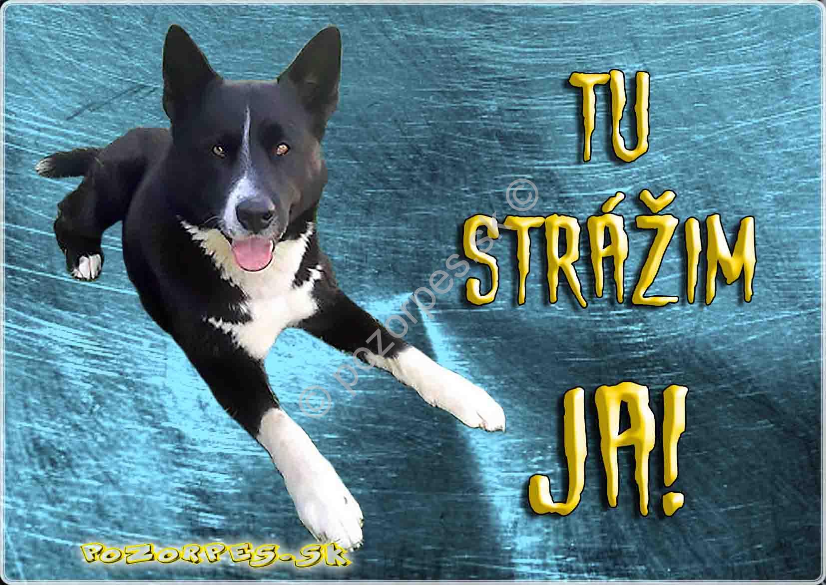 Pozorpes.sk,  výstražná tabuľka nerezová