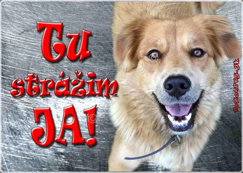 Hliníková tabuľka pozorpes.sk
