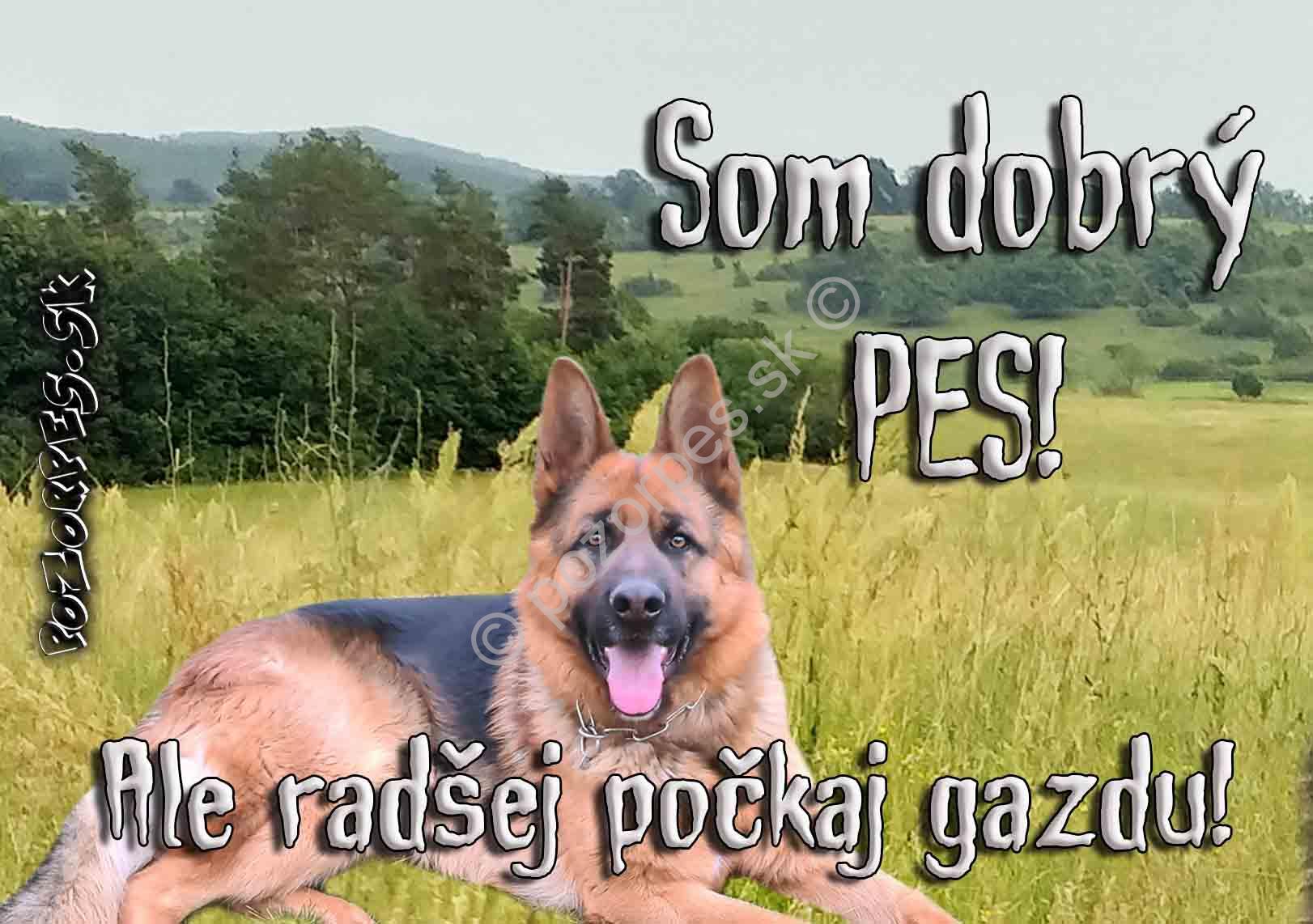 Pozorpes.sk,  výstražná tabuľka hliníková