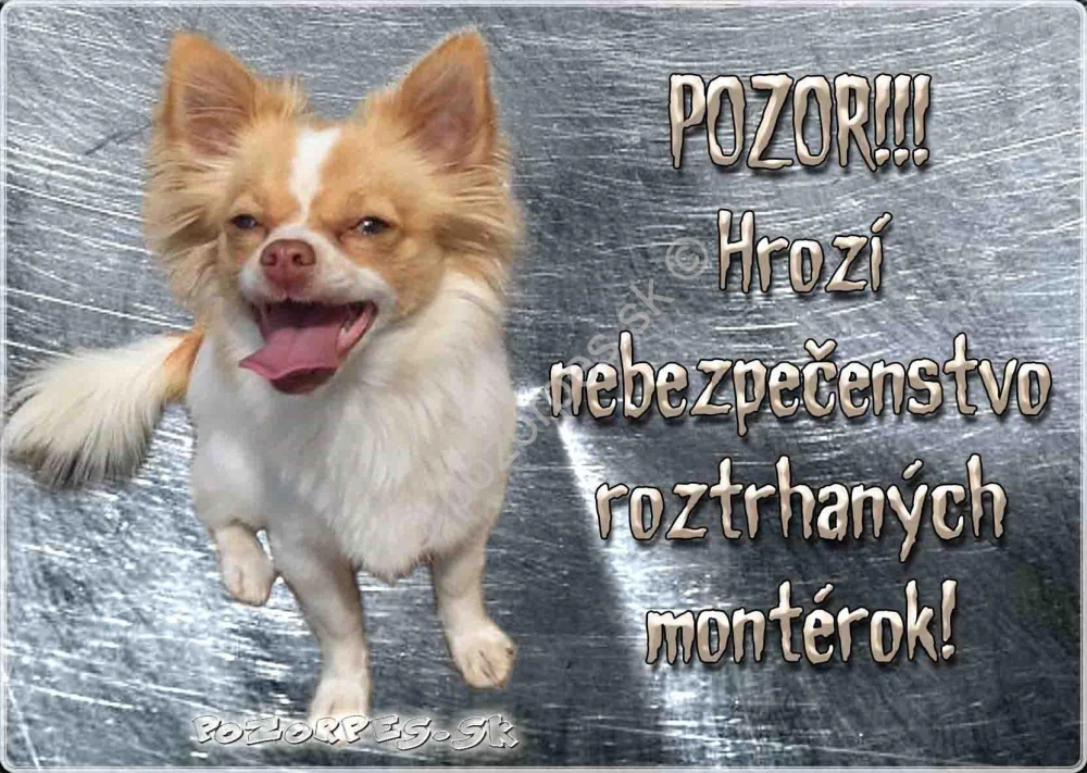 Pozorpes.sk,  výstražná tabuľka nerez 210x149xmm
