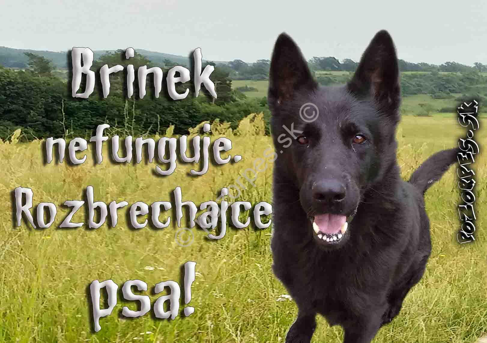 Pozorpes.sk,  výstražná tabuľka hliník 210x149 mm