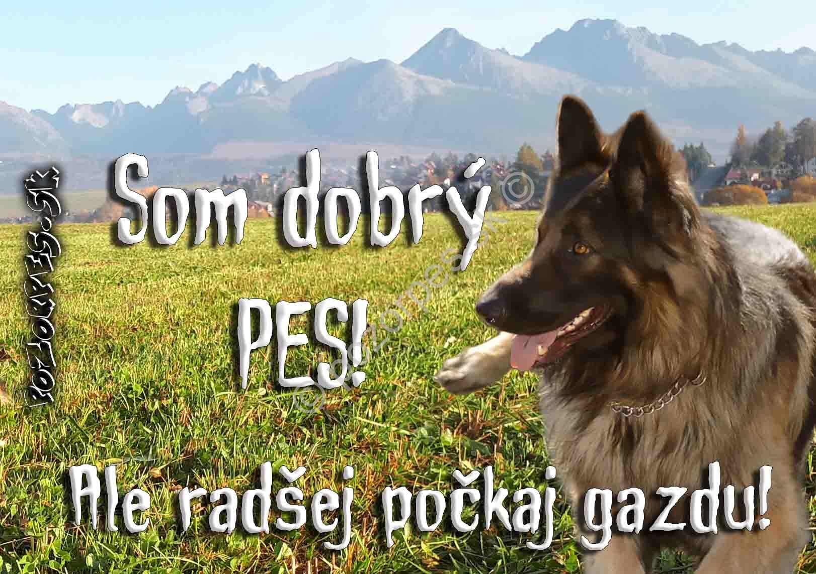 Pozorpes.sk,  výstražná tabuľka hliníková