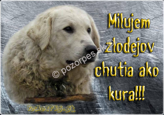 Pozorpes.sk,  výstražná tabuľka
